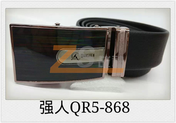 强人QR5-868